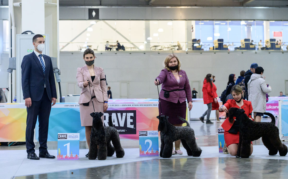 Best of Breed competition